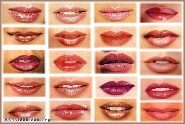 Which lip are you?